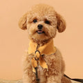 韓國 Doggie 優雅撞色滾邊領巾