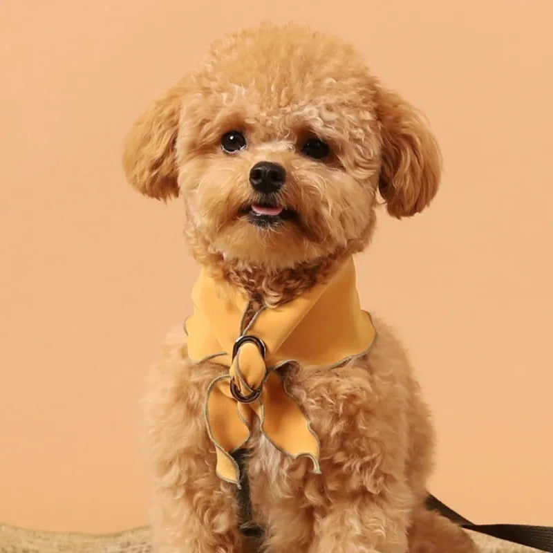 韓國 Doggie 優雅撞色滾邊領巾