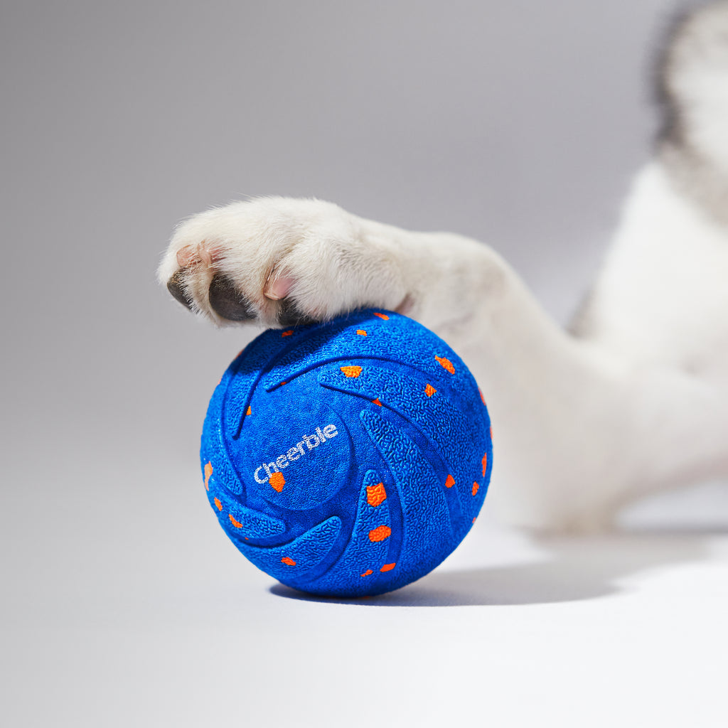 Cheerble Ball AIR 智慧互動衝衝球