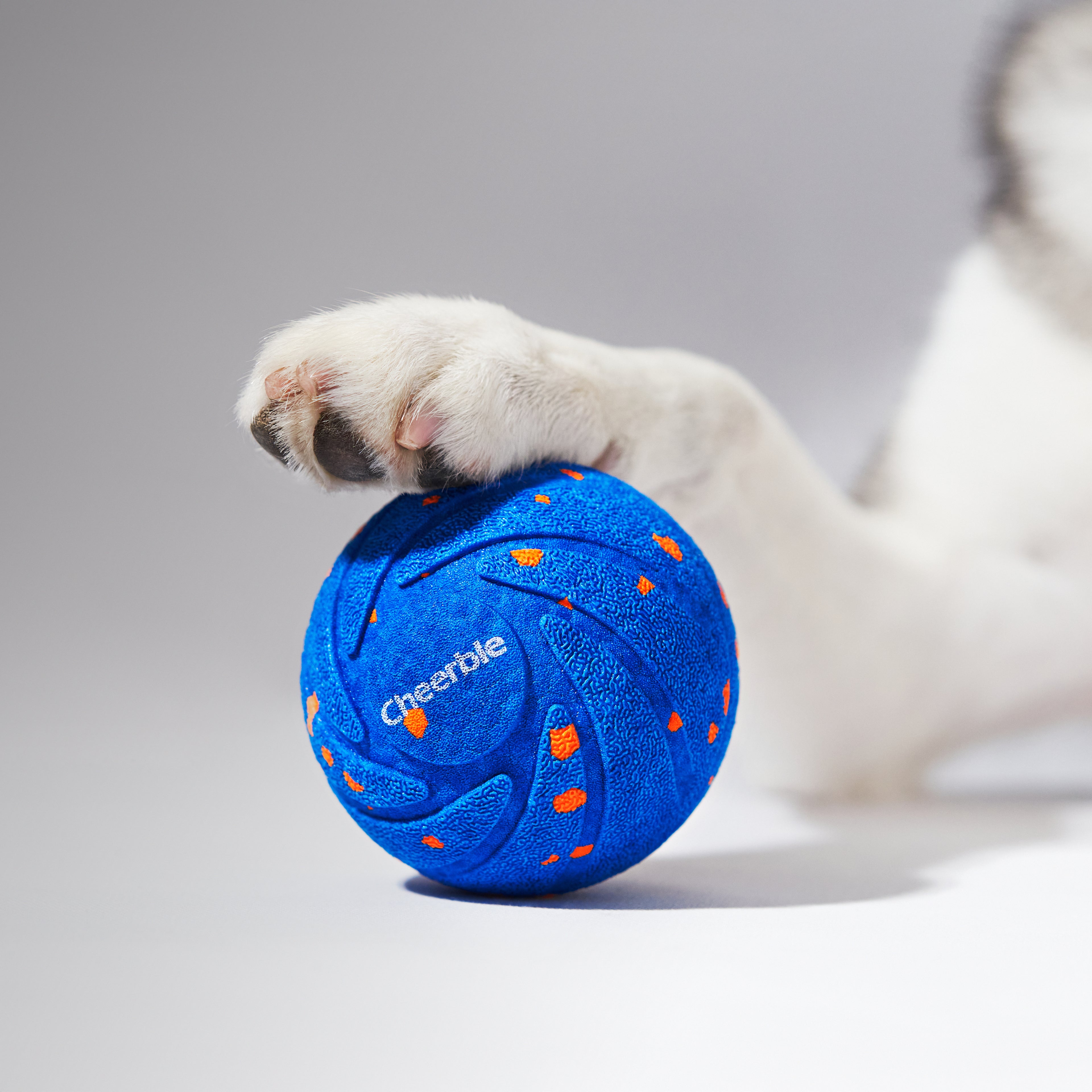 Cheerble Ball AIR 智慧互動衝衝球