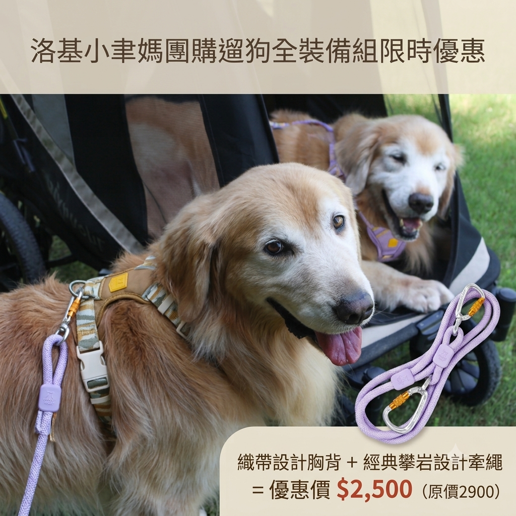 洛基小聿媽｜外出組合限量團購 遛狗全裝備，一次補齊