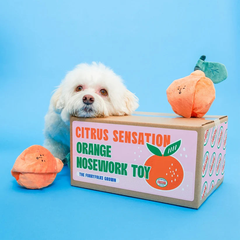 美國the furryfolks | 小橘子 新鮮直送 嗅聞藏食玩具