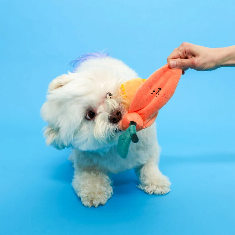 美國the furryfolks | 小橘子 新鮮直送 嗅聞藏食玩具