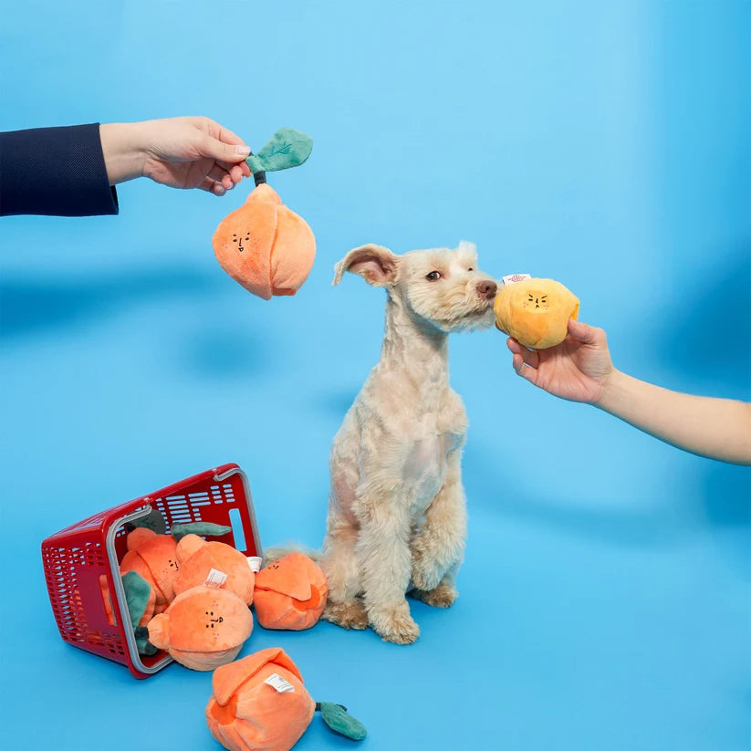 美國the furryfolks | 小橘子 新鮮直送 嗅聞藏食玩具