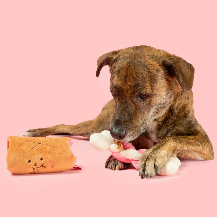 美國the furryfolks | BONE Appétit開動囉 嗅聞藏食玩具