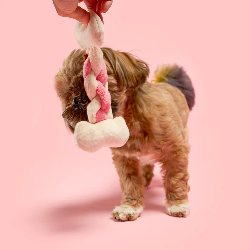 美國the furryfolks | BONE Appétit開動囉 嗅聞藏食玩具