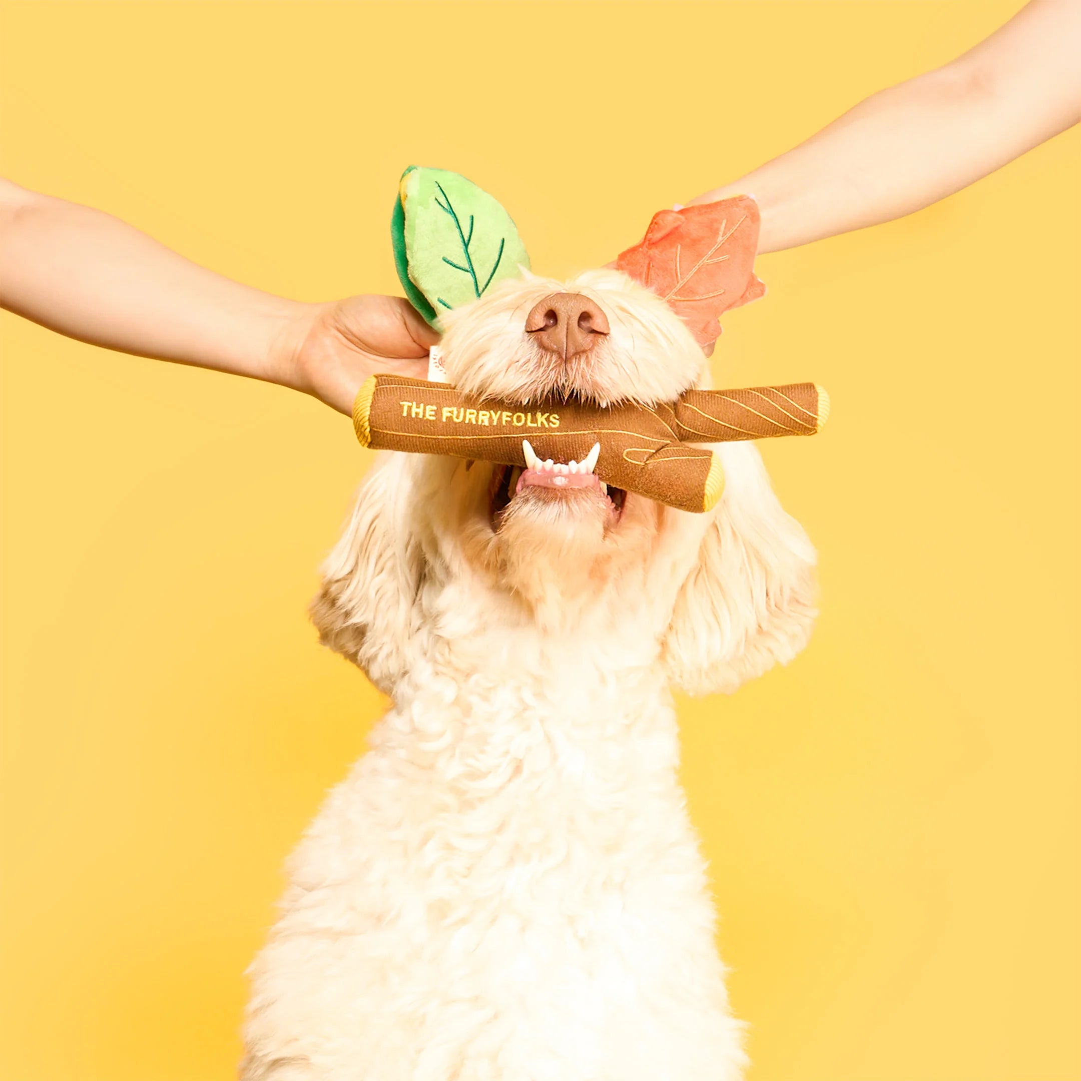 美國the furryfolks｜樹枝嗅聞藏食玩具