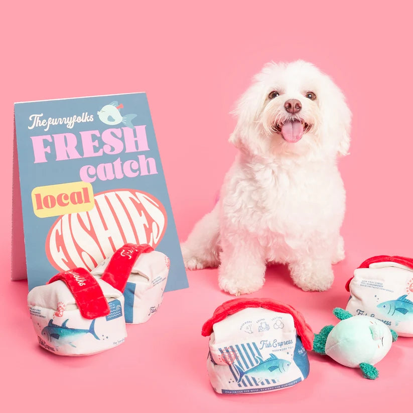美國the furryfolks | 飛魚快遞 嗅聞藏食玩具