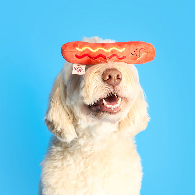 美國the furryfolks｜Hot Dog 熱狗嗅聞藏食玩具
