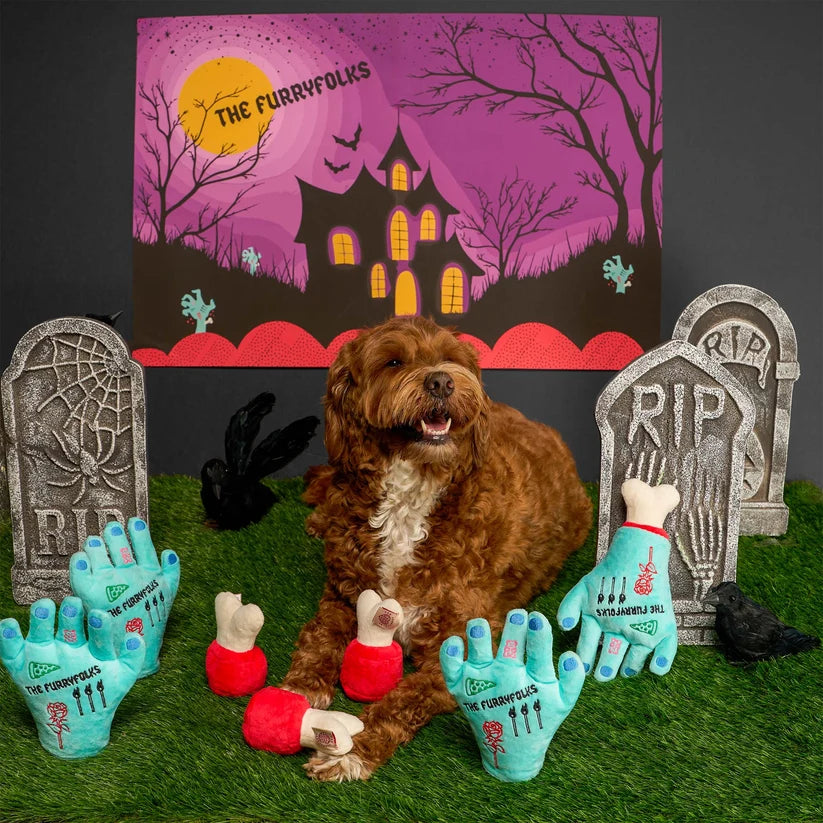 美國the furryfolks | 🎃萬聖節限定🎃  不見的手 嗅聞藏食玩具