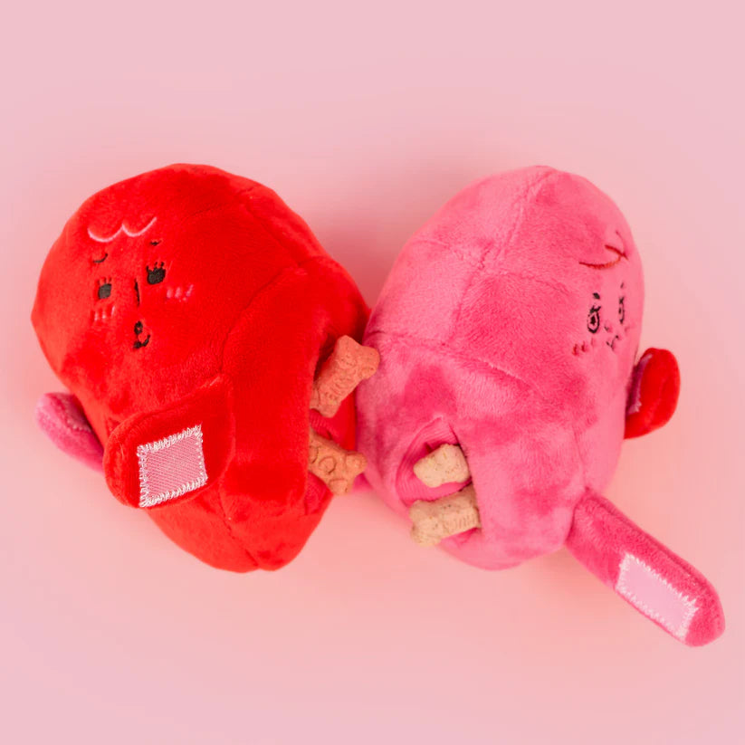 美國the furryfolks｜抱緊處理 愛心嗅聞藏食玩具