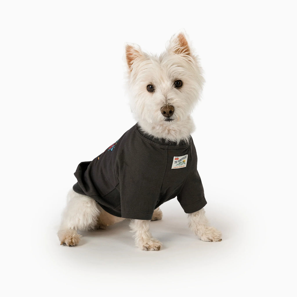 [預購] 美國the Furryfolks 鬆弛搖滾T-Shirt