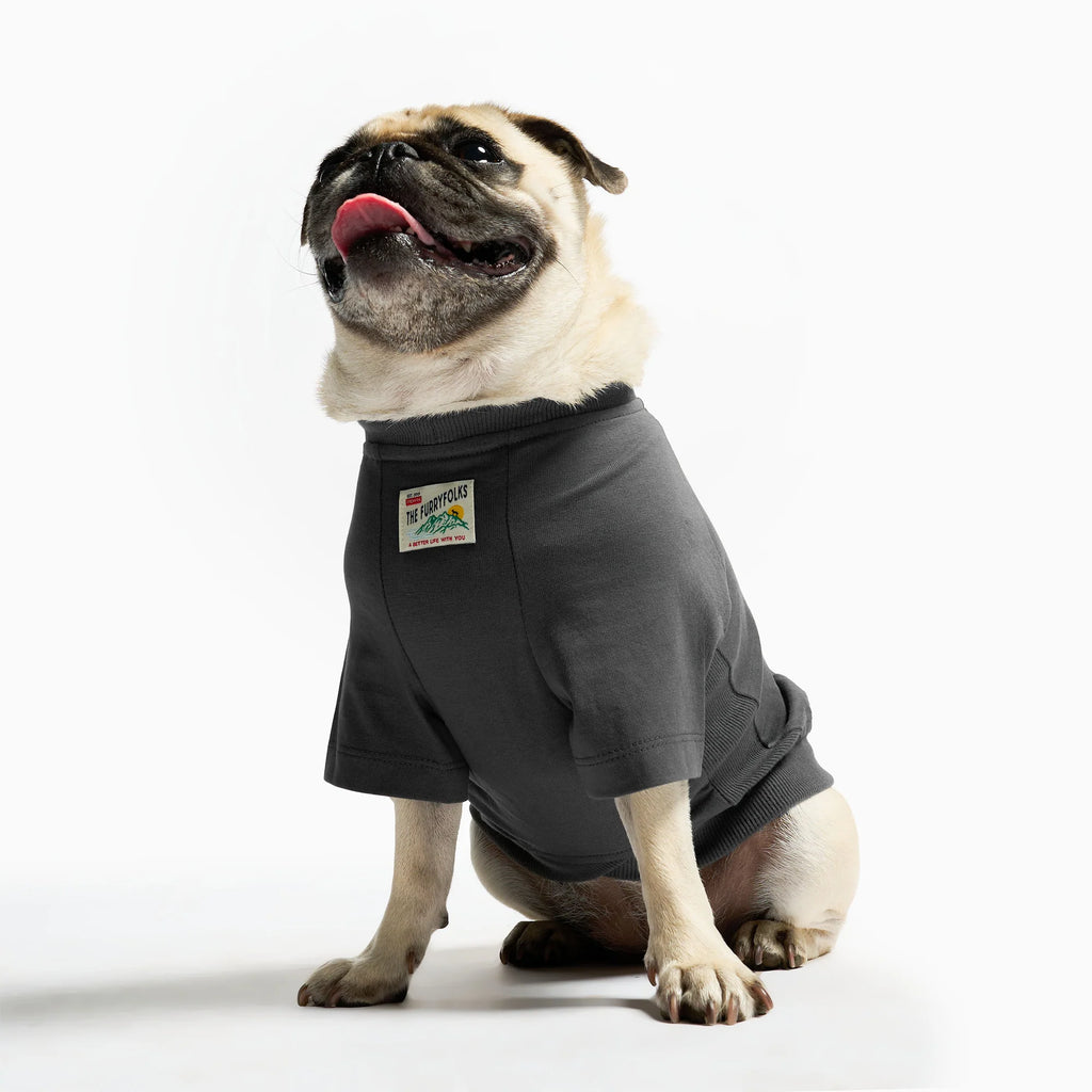 [預購] 美國the Furryfolks 鬆弛搖滾T-Shirt