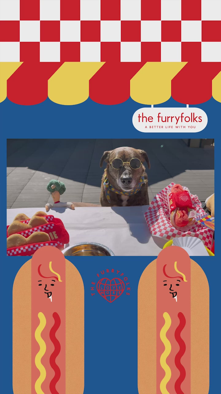 美國the furryfolks｜Hot Dog 熱狗嗅聞藏食玩具