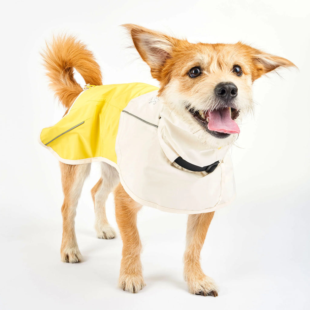 美國the furryfolks｜Venture 探險款雨衣
